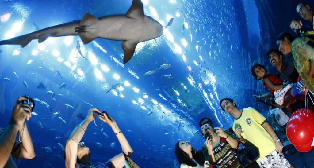 Dubai Aquarium