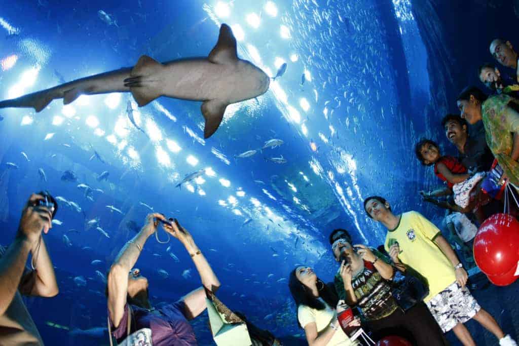 Dubai Aquarium