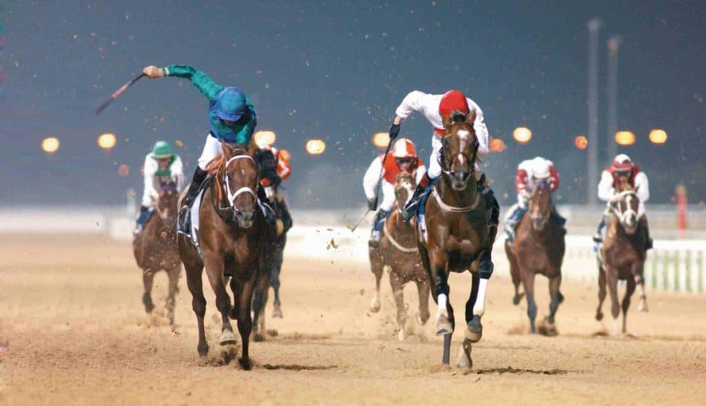 Meydan Pferderennbahn Dubai