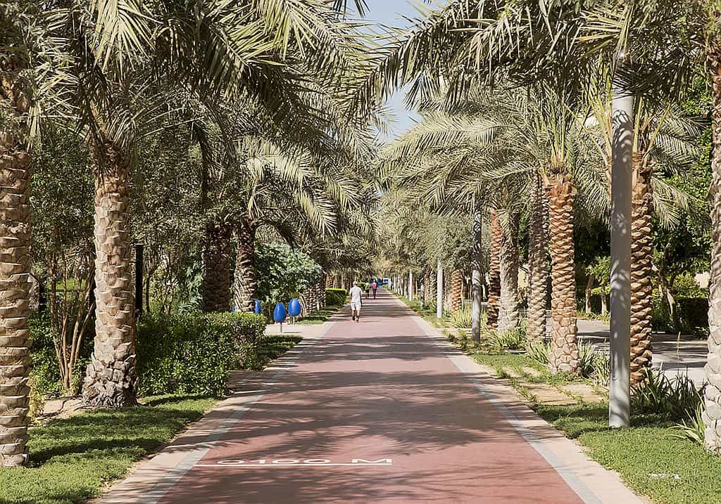 park Palm Jumeirah