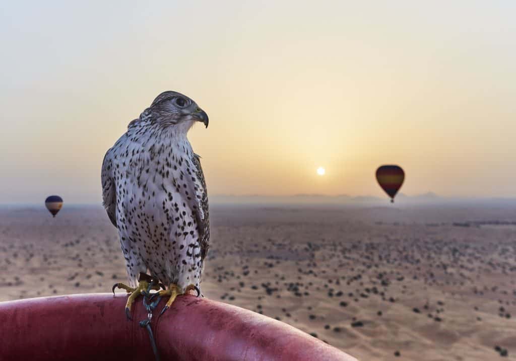 Heißluftballonfahrt in Dubai