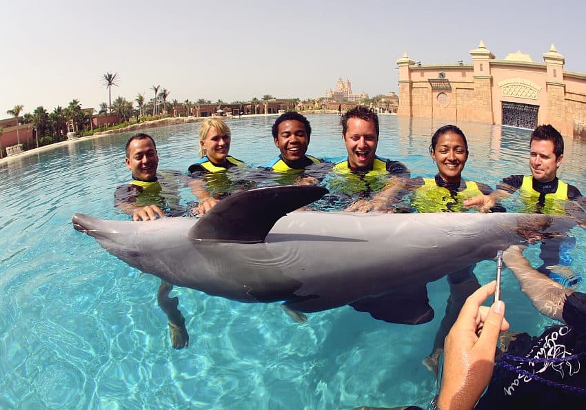 Dolphin Bay , Atlantis The Palm Dubai