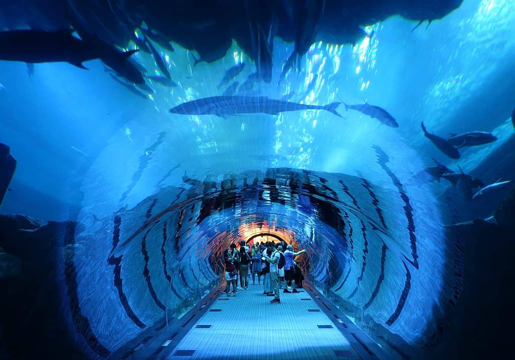 Dubai Aquarium