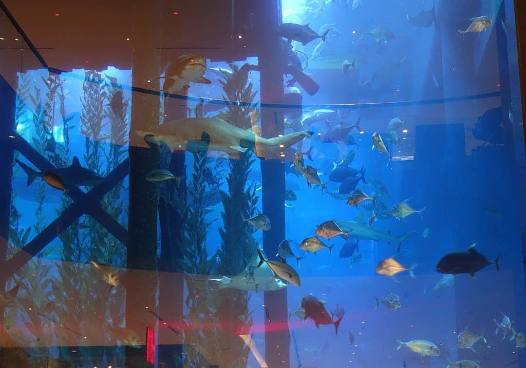 Dubai Aquarium