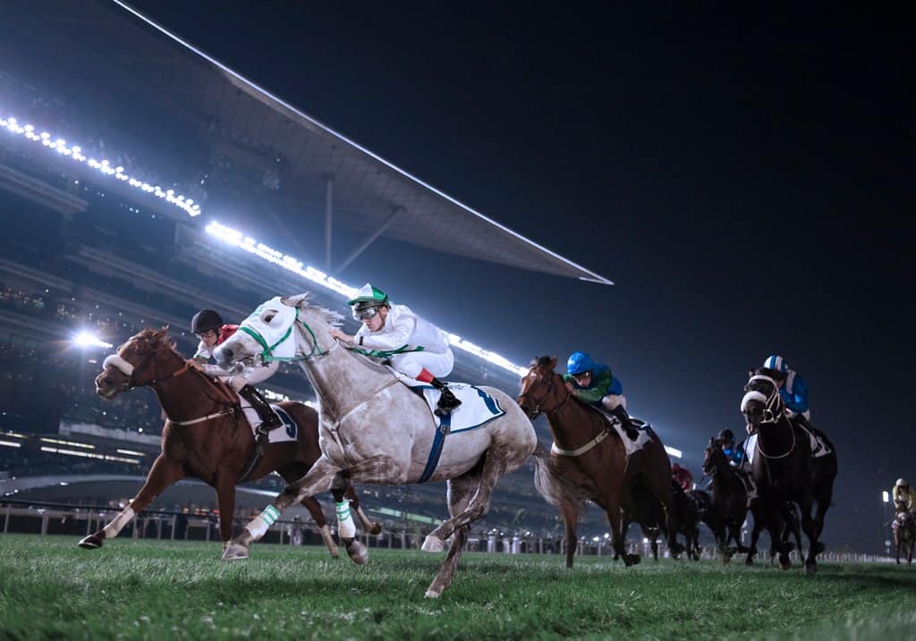 Pferderennen Dubai