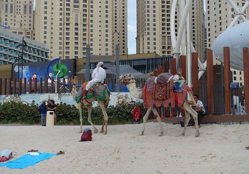 Kamele Beach JBR