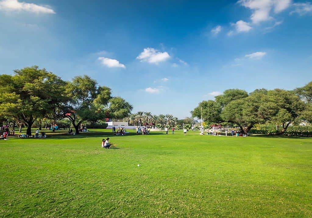 Creek Park in Dubai