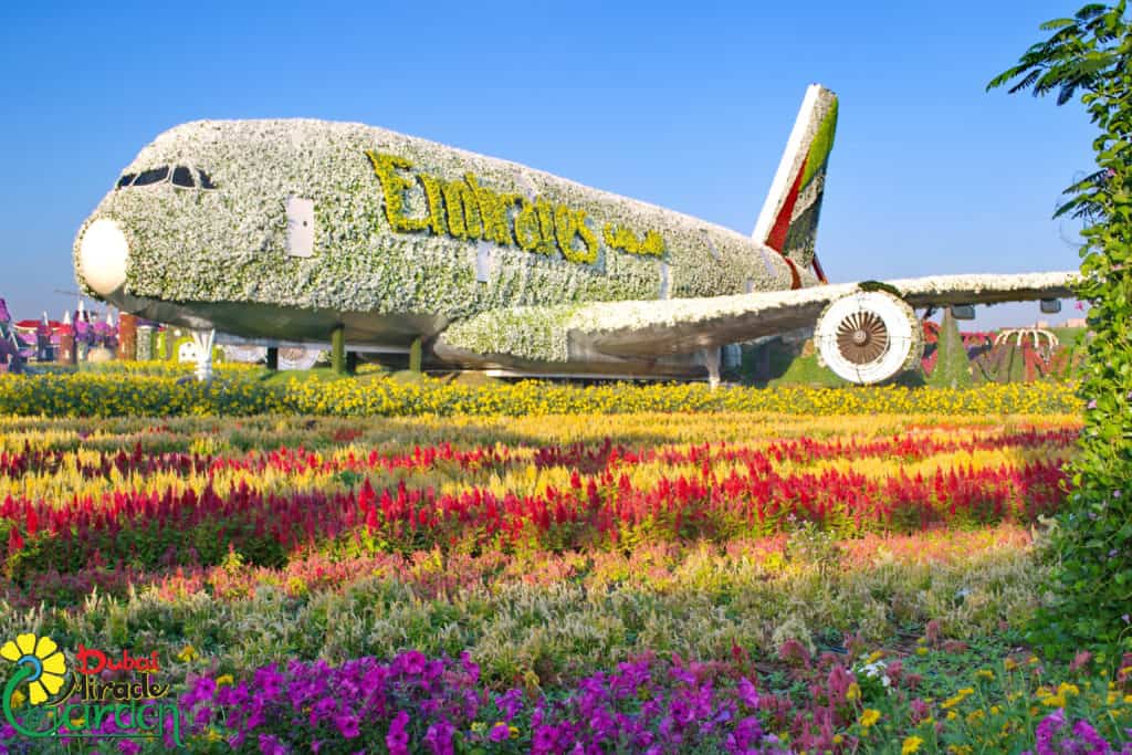 Dubai Miracle Garden 