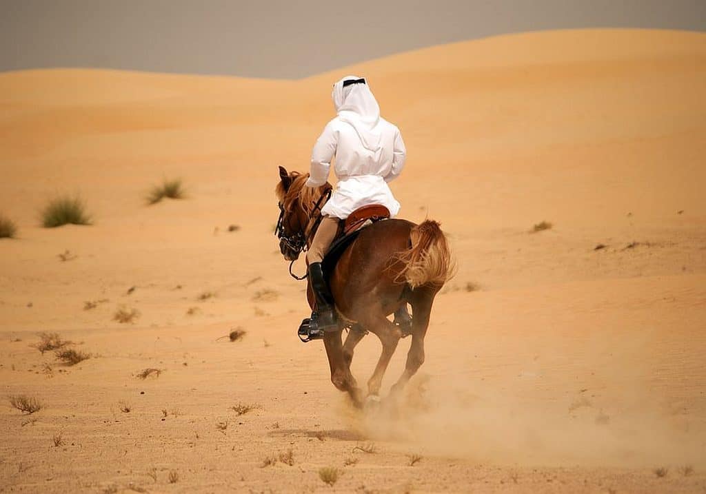 Reiten in Dubai