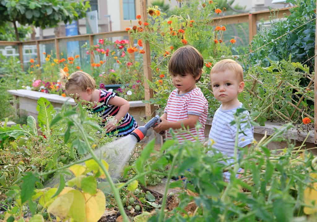 Garten nachhaltige Stadt